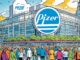 Pfizer nach der Pandemie: Ein Pharma-Riese im neuen Normal